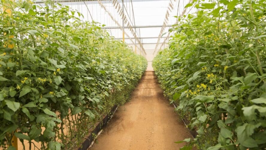 GMO SecurityUnsplash