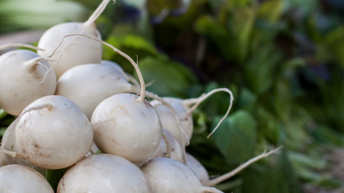 Hakurei Turnips Google Commons
