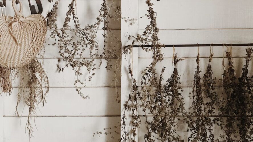 Hang Dried Flowers Unsplash