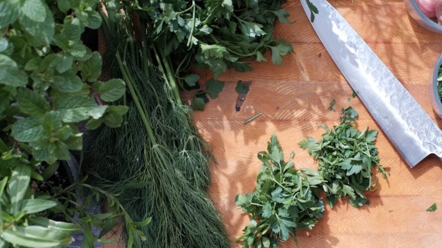 Italian Herb Garden Unsplash