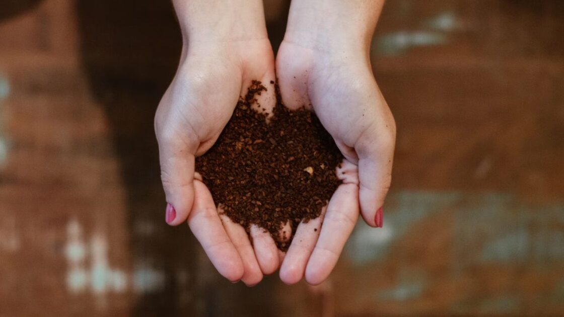 Items You Should Avoid Tossing Into Your Compost Bin More Unsplash