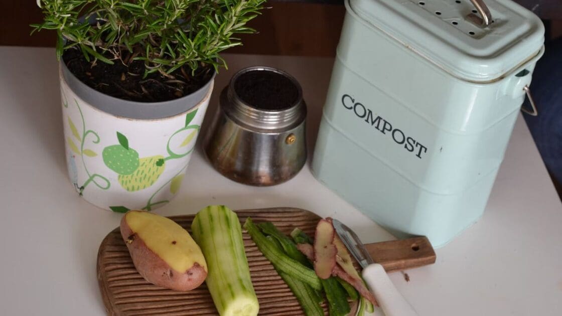 Items You Should Avoid Tossing Into Your Compost Bin Unsplash