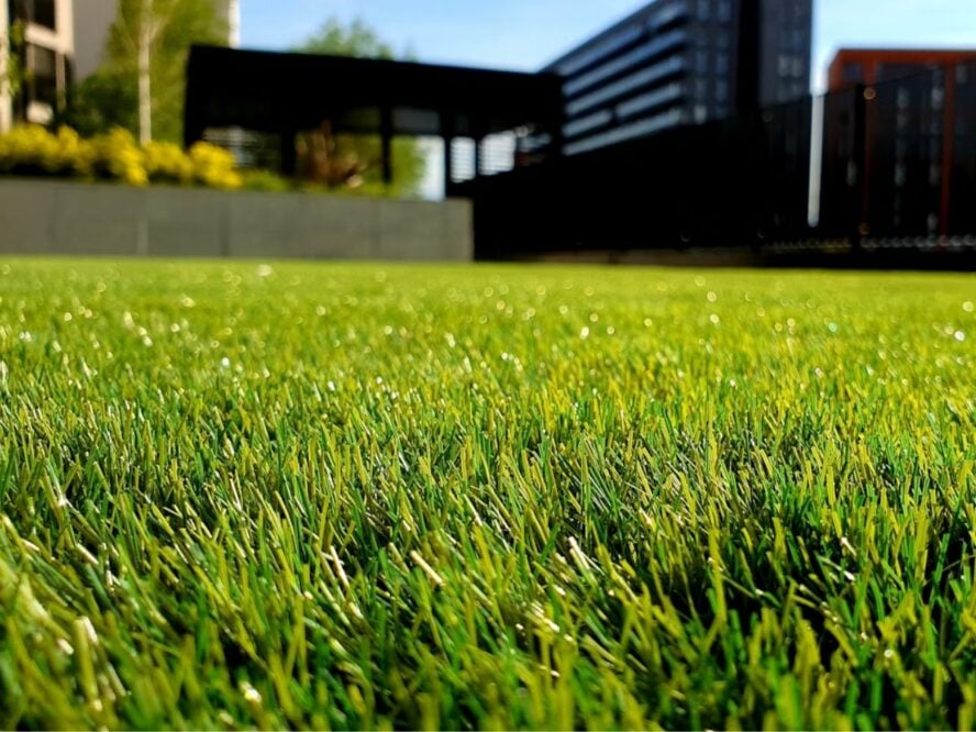 Lawn Grass Unsplash
