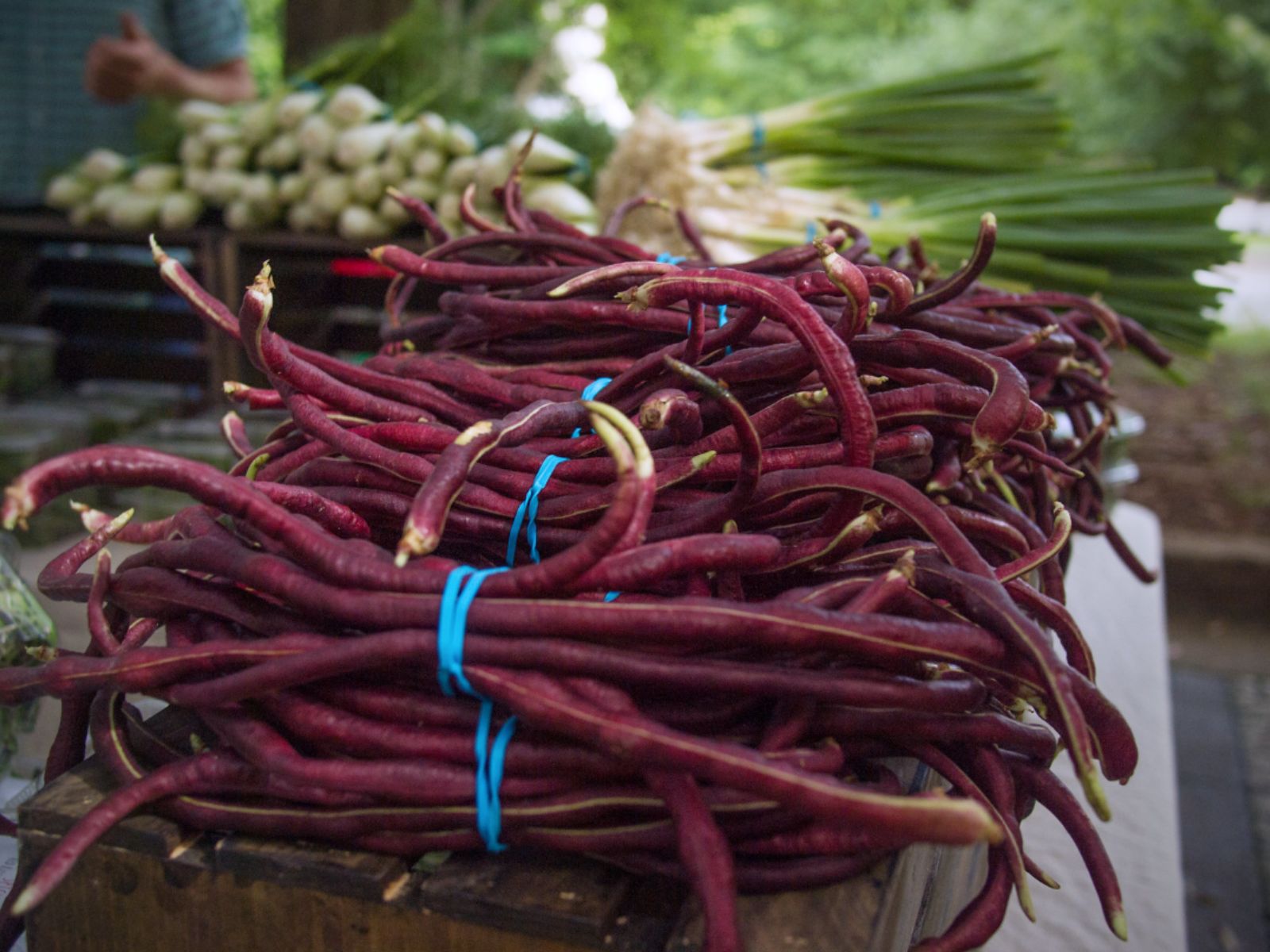 Long Bean Purple Fruits and Vegetables, Wiki Commons