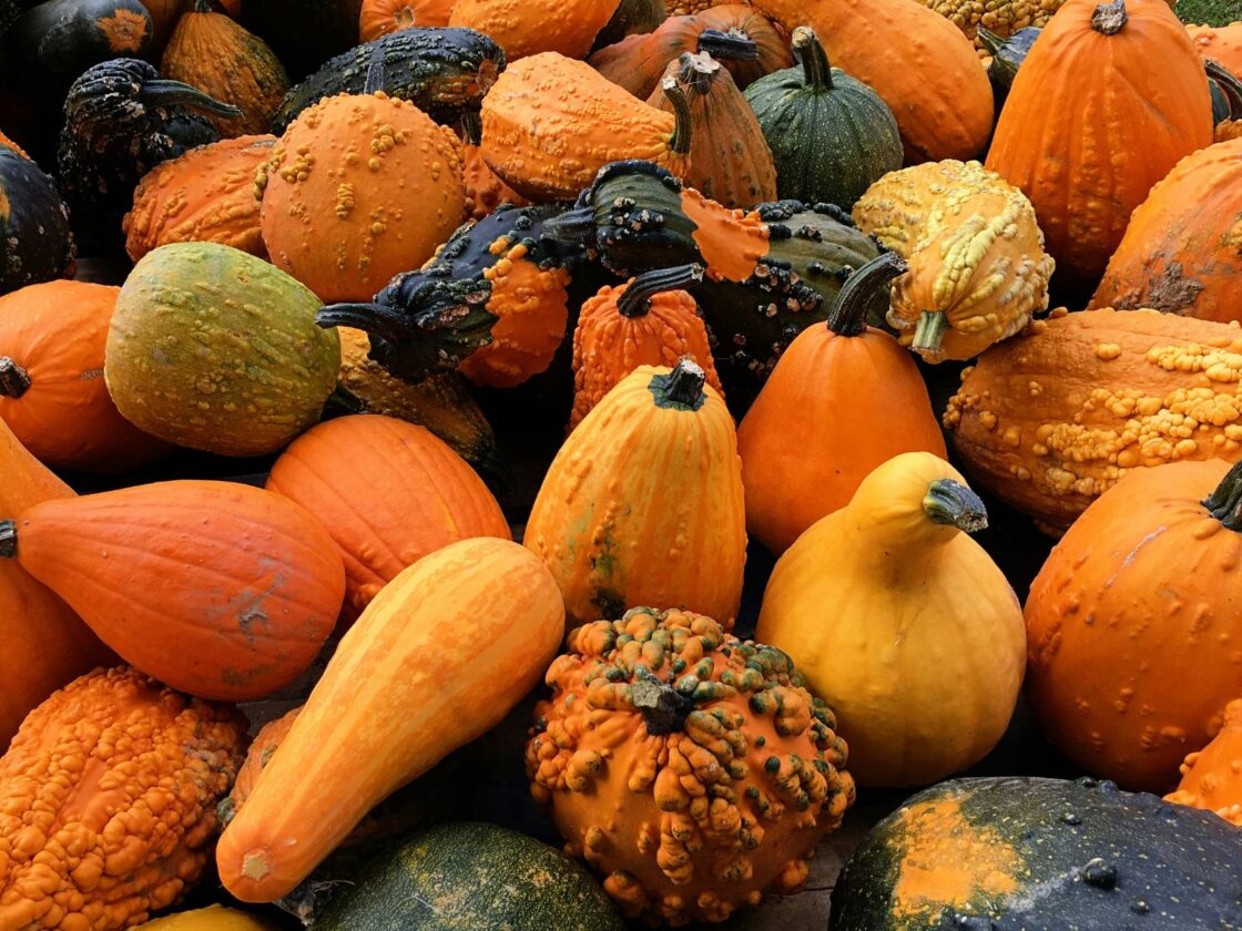 More Seasonal Squash Recipes, Unsplash