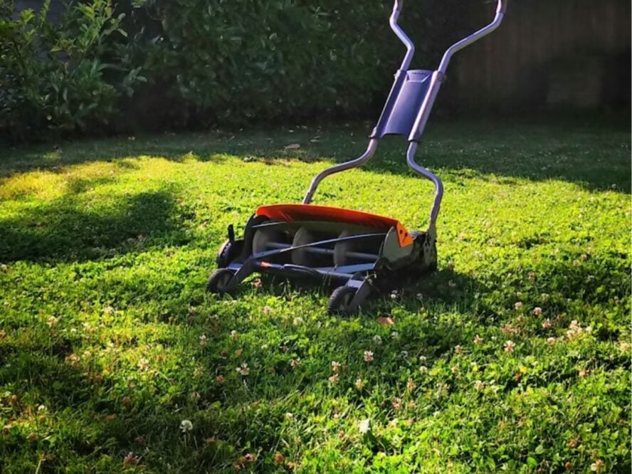 Mow Grass Mow Lawn Unsplash