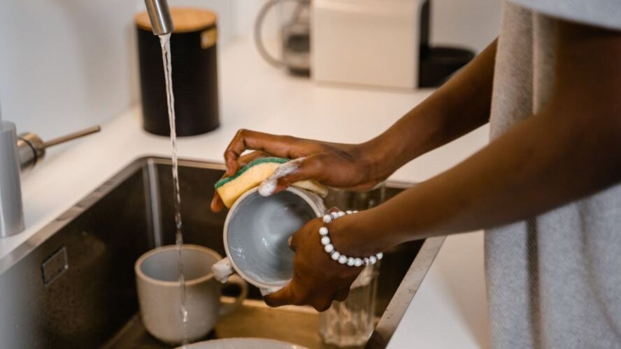 Natural Cleaning Products Google Images