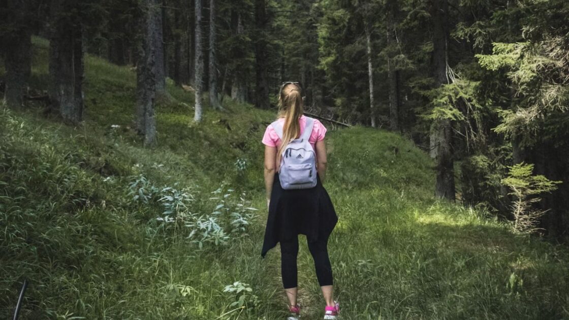 Nature Walk Unsplash