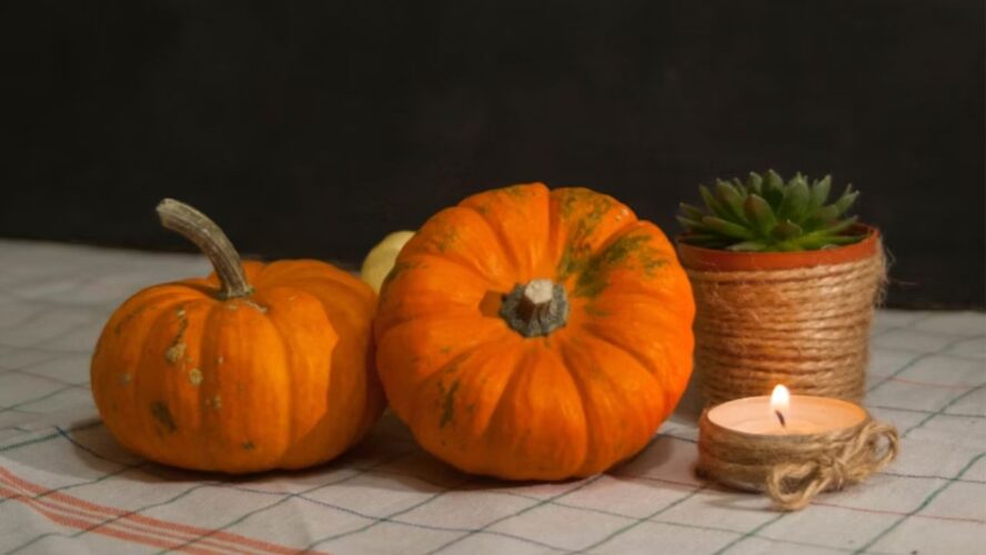 Other Fall Decor Unsplash