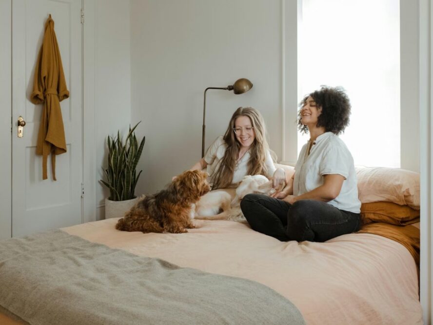 Pet Friendly Rooms Unsplash