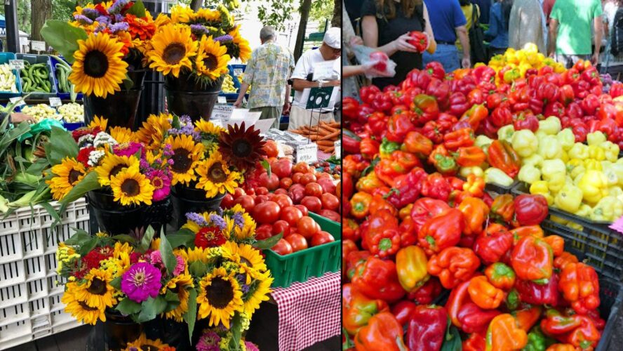 Portland Farmers Market Google Commons