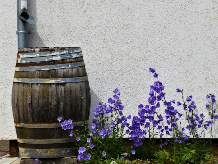 Rain Barrels Unsplash
