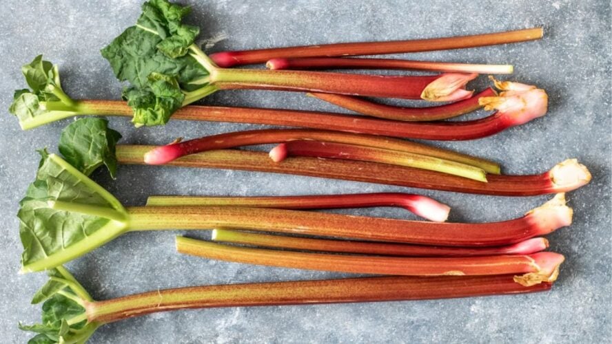 Rhubarb Spring Vegetables Unsplash