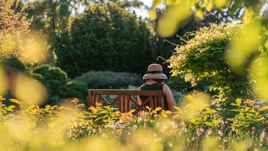 Spring Garden Flowers Unsplash