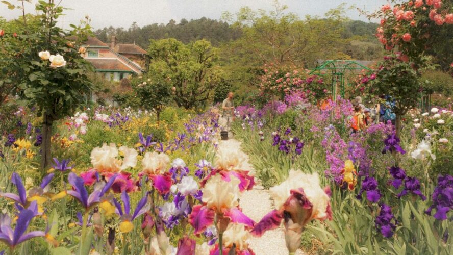 Spring Garden Unsplash