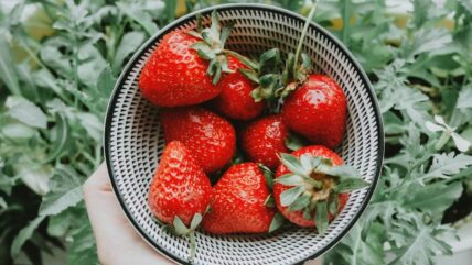 Strawberries Spring Vegetables and Fruits Unsplash