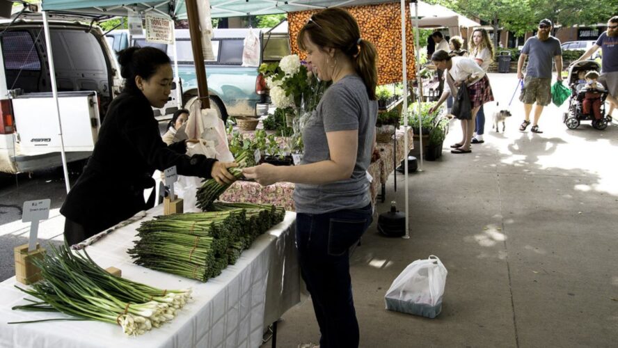 TD Saturday market Google Commons