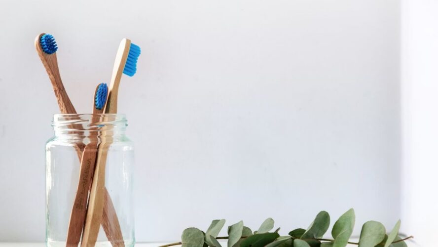 Toothbrush Holder Spring Cleaning Unsplash