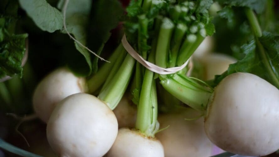 Turnip Greens Calcium Unsplash