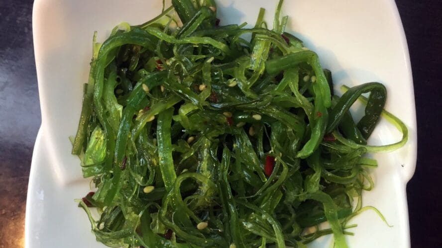 Wakame Salad Wiki Commons
