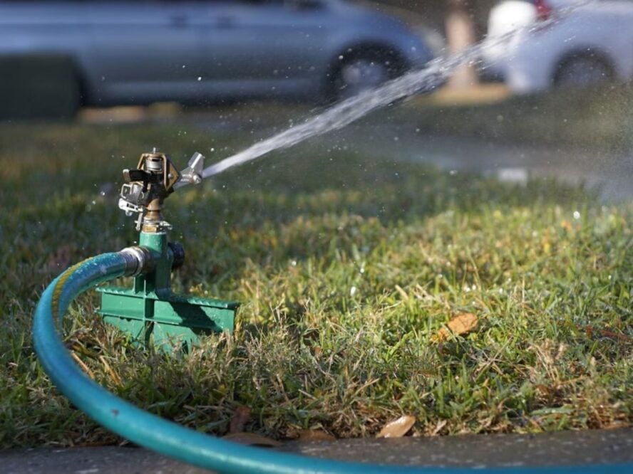 Water Grass Unsplash