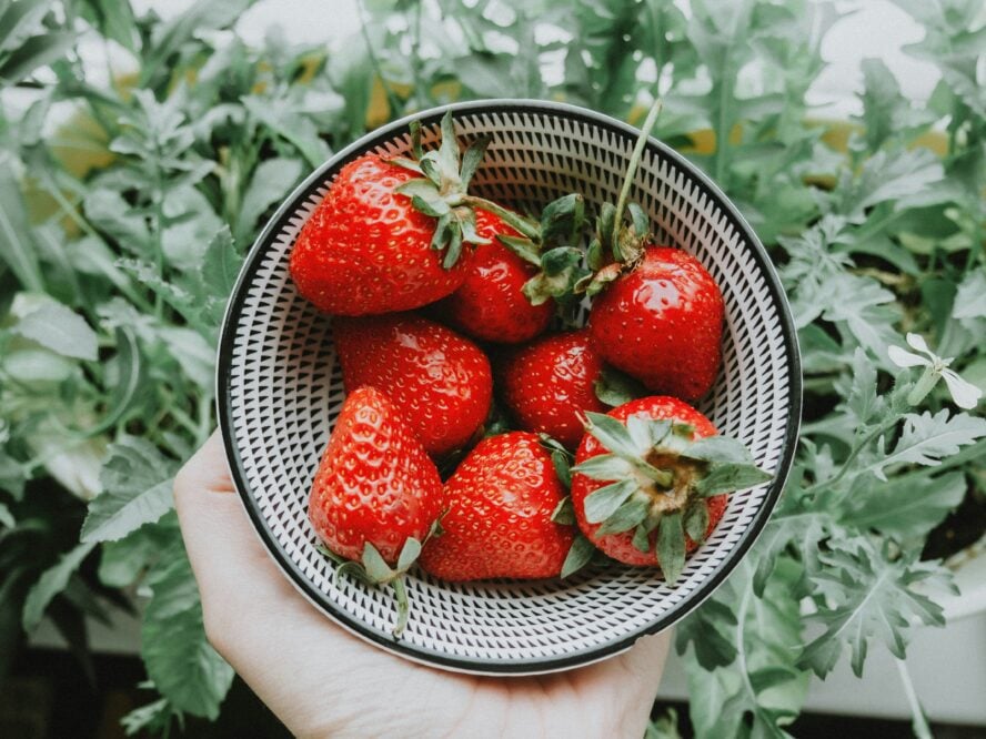 strawberries seasonal spring produce anastasia zhenina unsplash