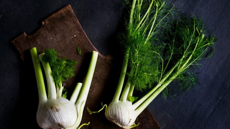 image of fennel which is good for you and can be used in a number of ways