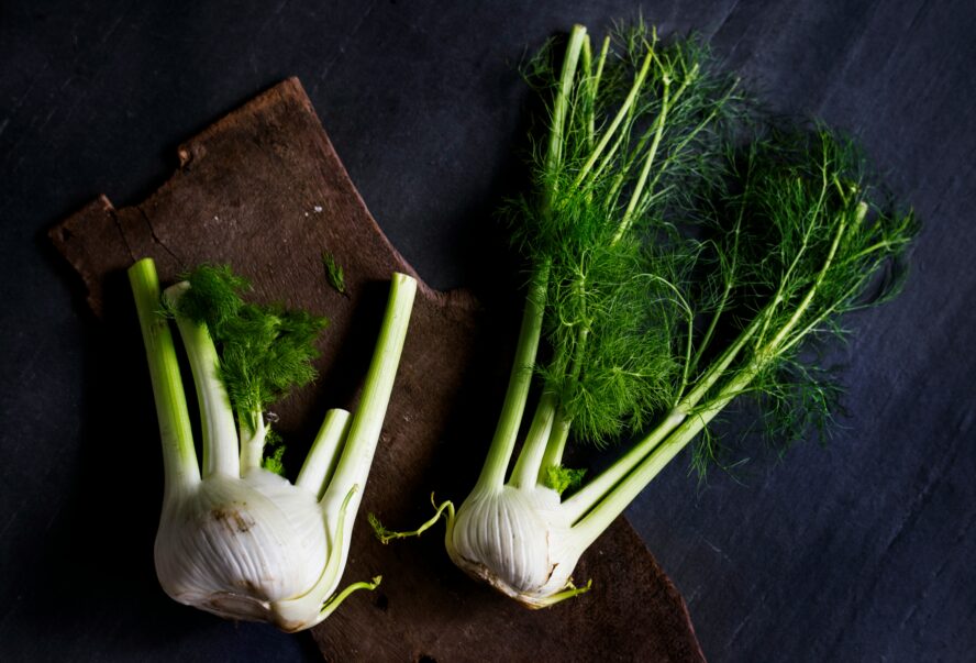 Fennel Bulb wonderfully weird fall vegetables