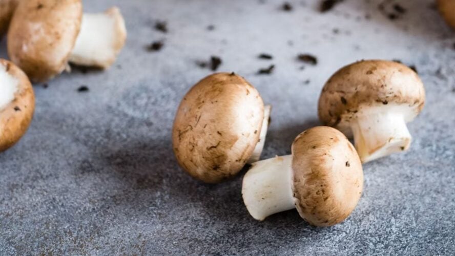 fall vegetables and fruits Mushrooms Unsplash