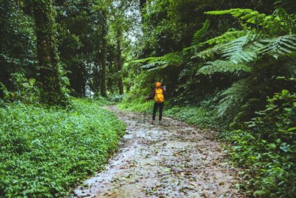 Reasons to Get Outside Main Unsplash