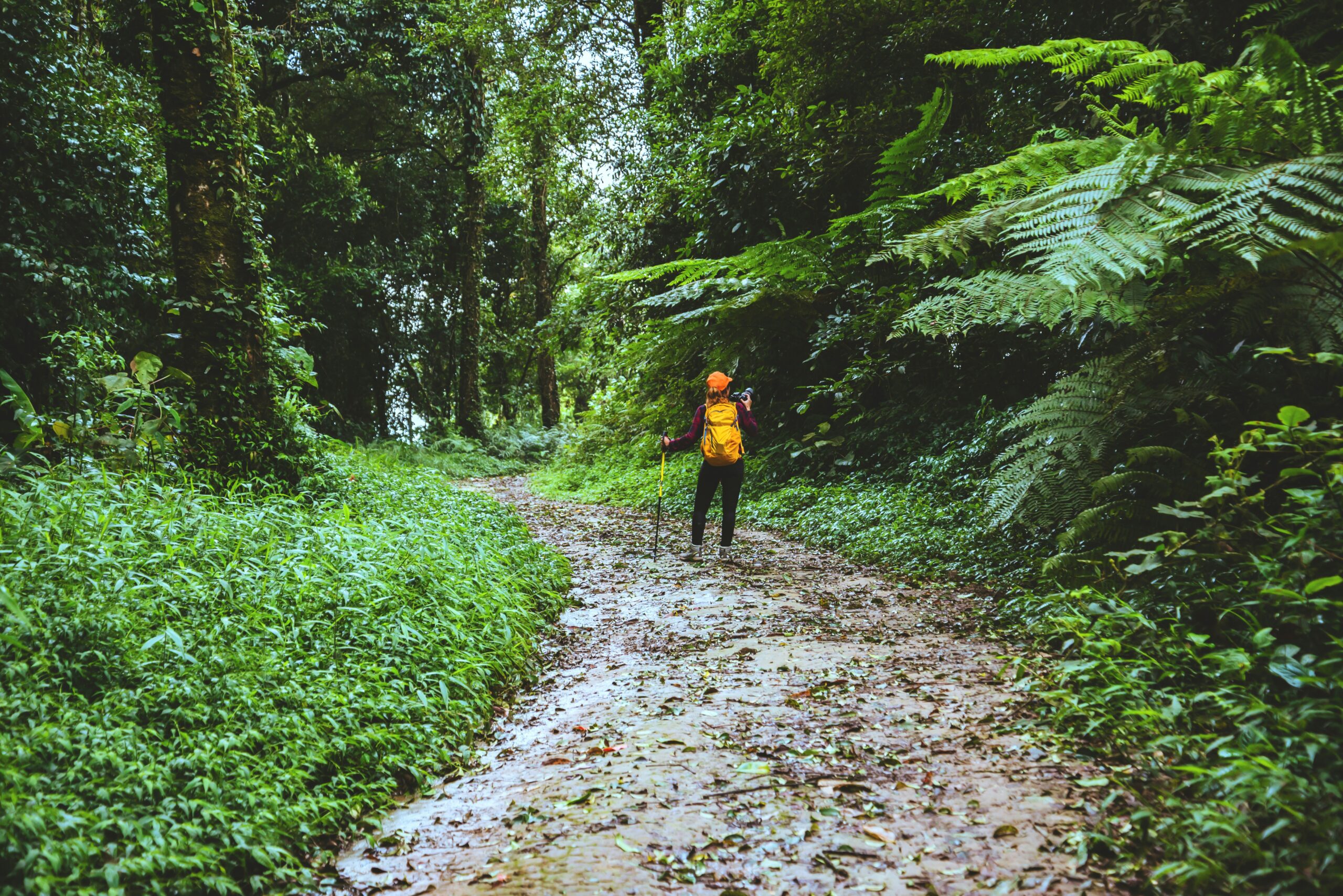 Reasons to Get Outside Main Unsplash