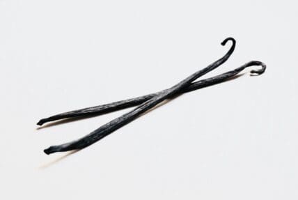 vanilla bean for homemade vanilla extract