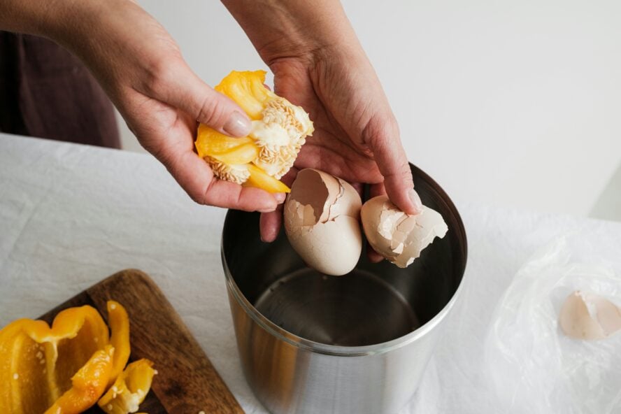 Compost Reduce Food Waste Unsplash karolina grabowska