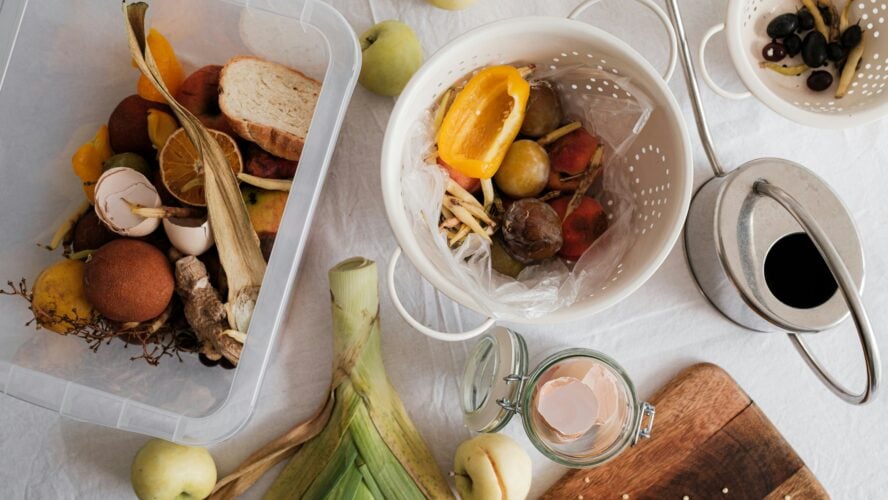 Items You Should Avoid Tossing Into Your Compost Bin Unsplash