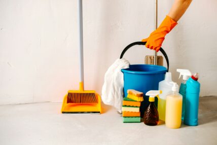 image of many cleaning cleaners that could be replaced by Borax