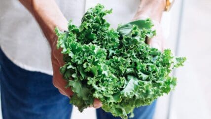non-dairy sources of calcium main Unsplash