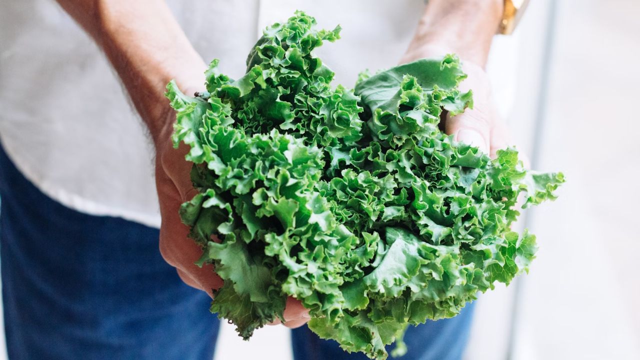 7 Non-Dairy Sources of Calcium for Wholesome Bones 7 Non-Dairy Sources of Calcium for Wholesome Bones