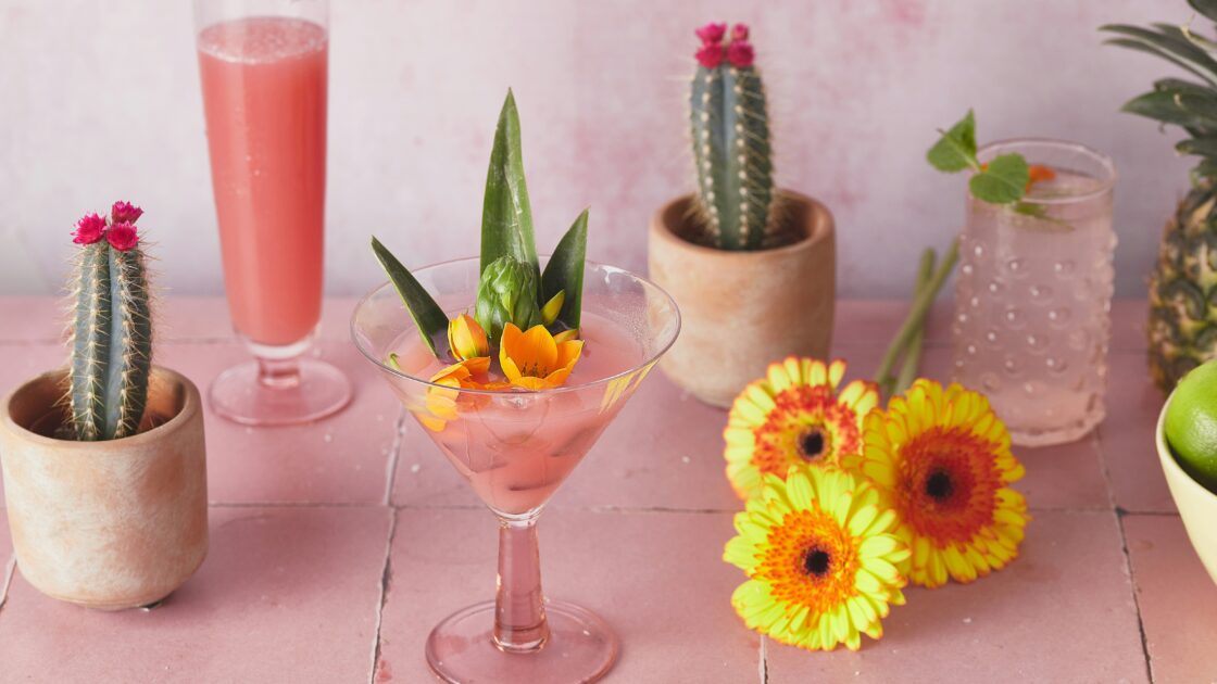 image of a prickly pear margarita recipe