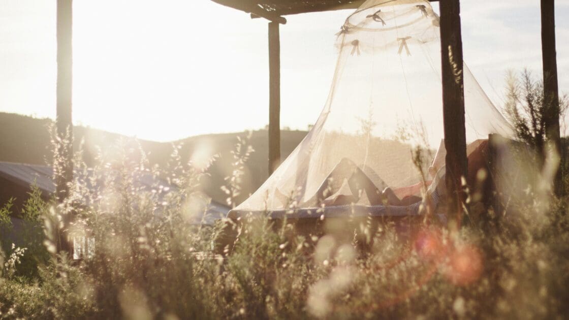 natural bug repellent and bug bite remedies