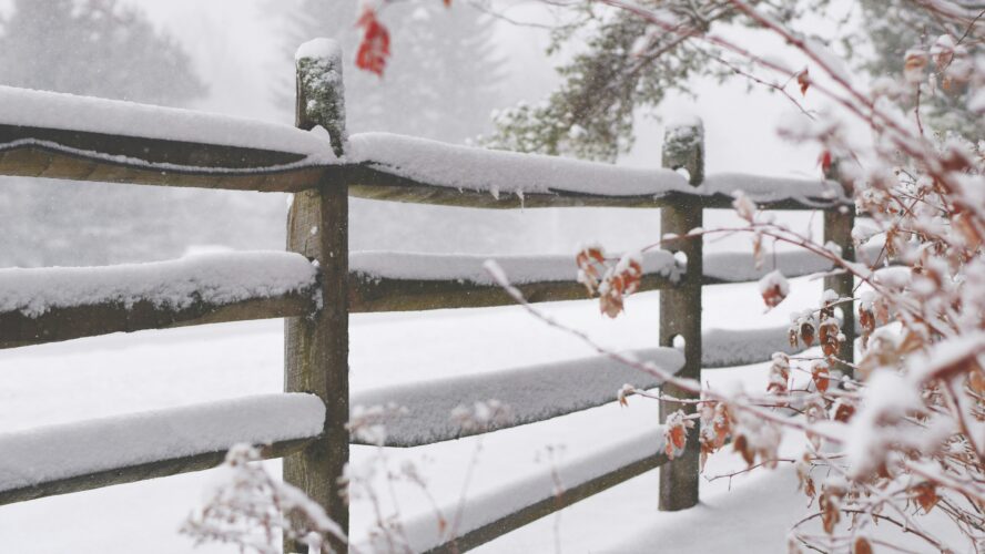 6 Timely and Frigid Tips For Winter Composting