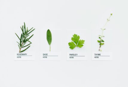 image of fresh herbs for ideas to use these summer herbs