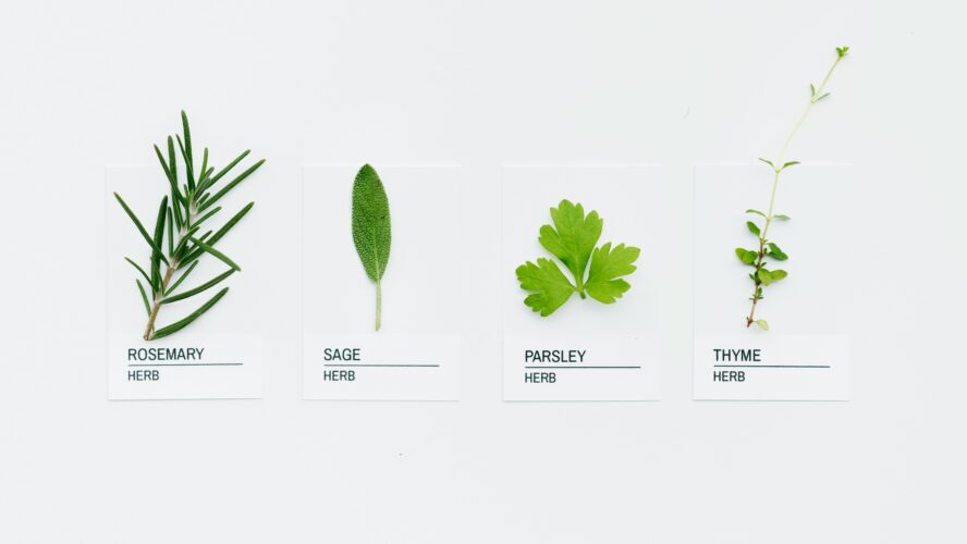 image of fresh herbs for ideas to use these summer herbs