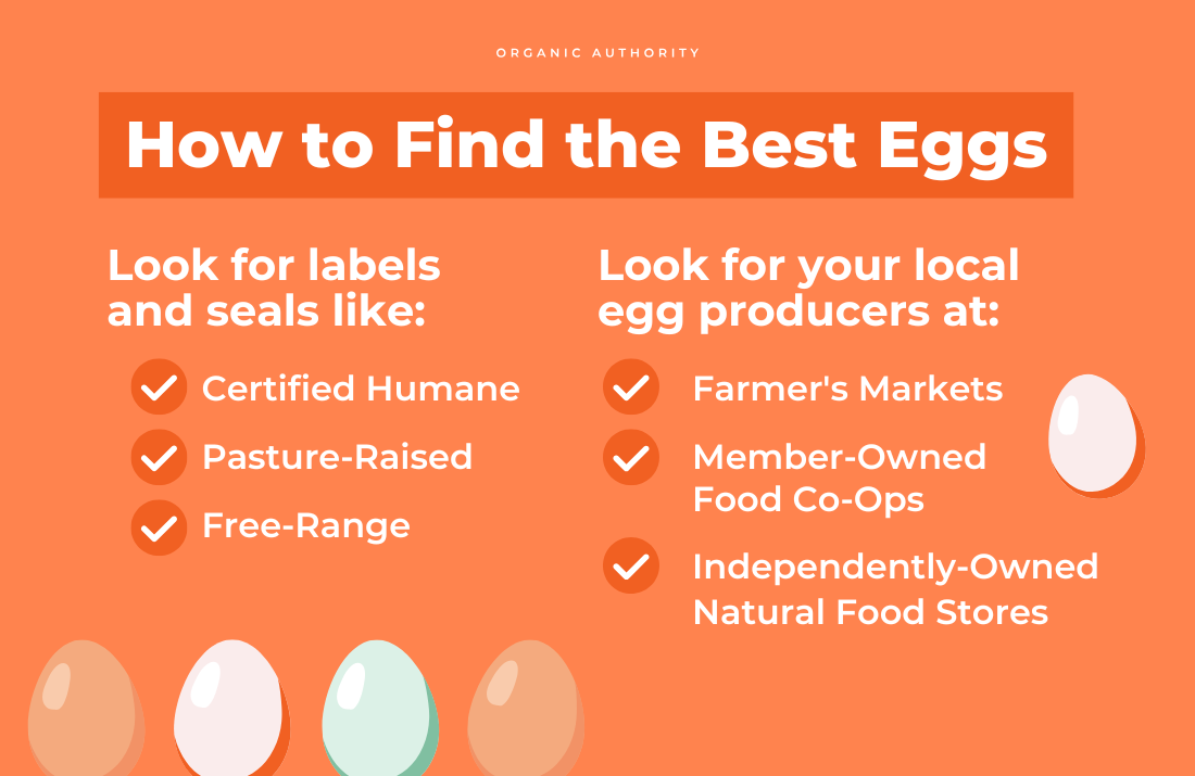 Image with a checklist titled "How to Find the Best Eggs", featuring seals, labels, and places to look out for when tracking down humane eggs.