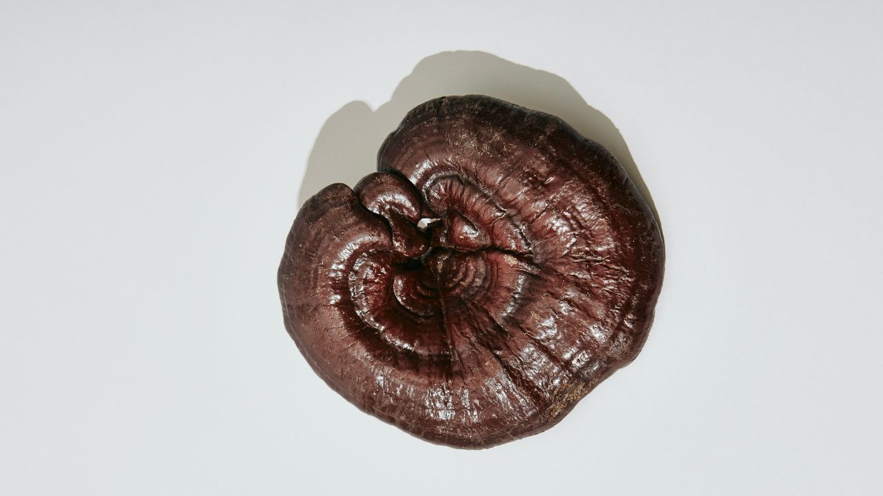 Reishi Functional Pantry Foods, Unsplash