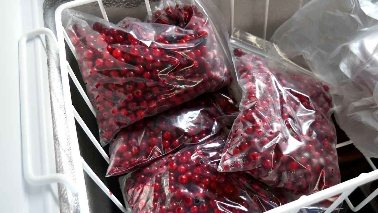 Freezer Tips Storage, Wiki Commons