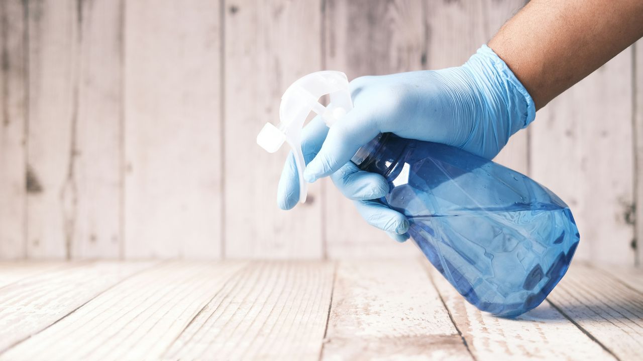 Kombucha Cleaner, Unsplash