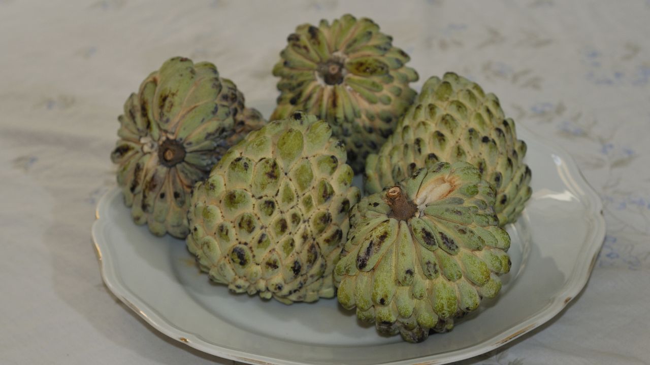 Cherimoya Fruit Wiki Commons