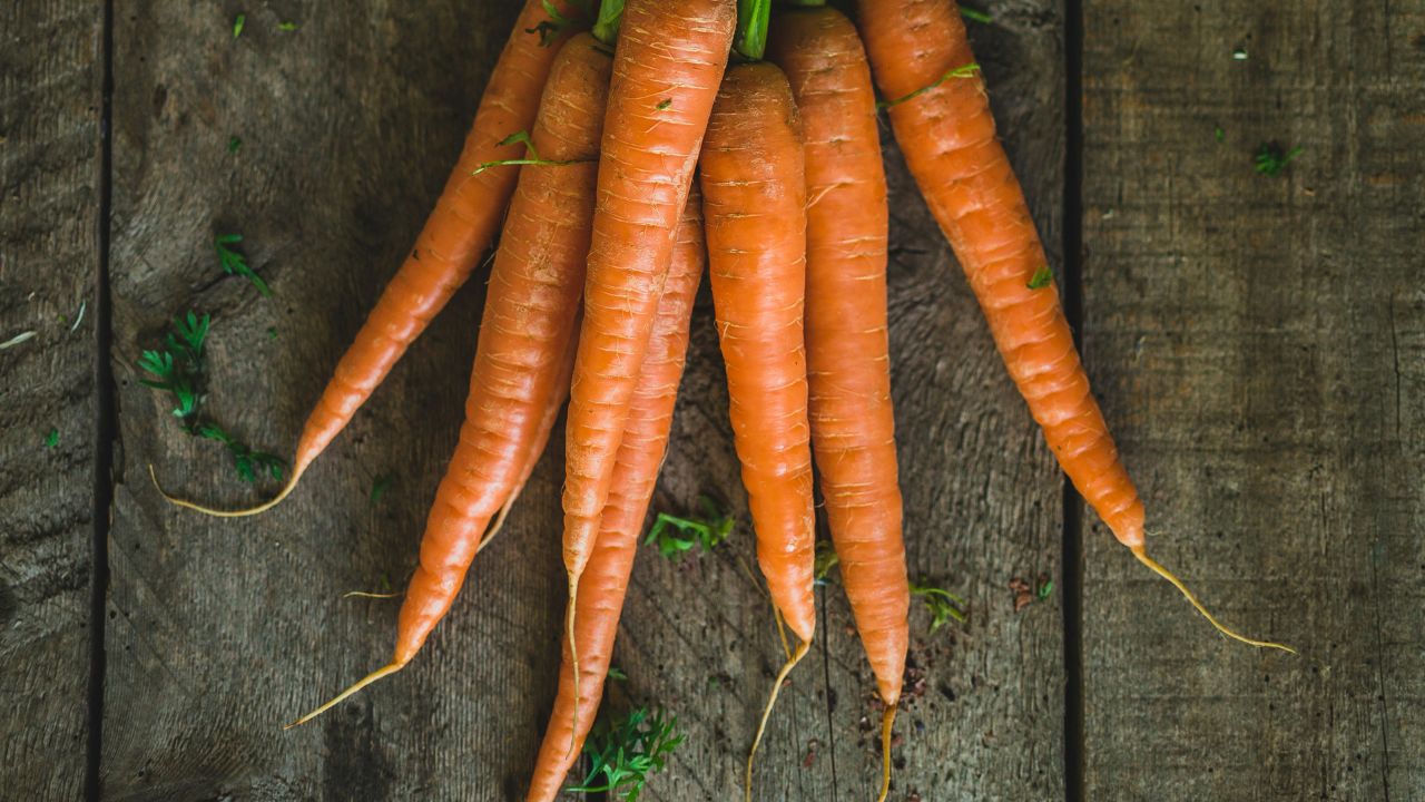 Fresh Vegetables Dog Food, Unsplash