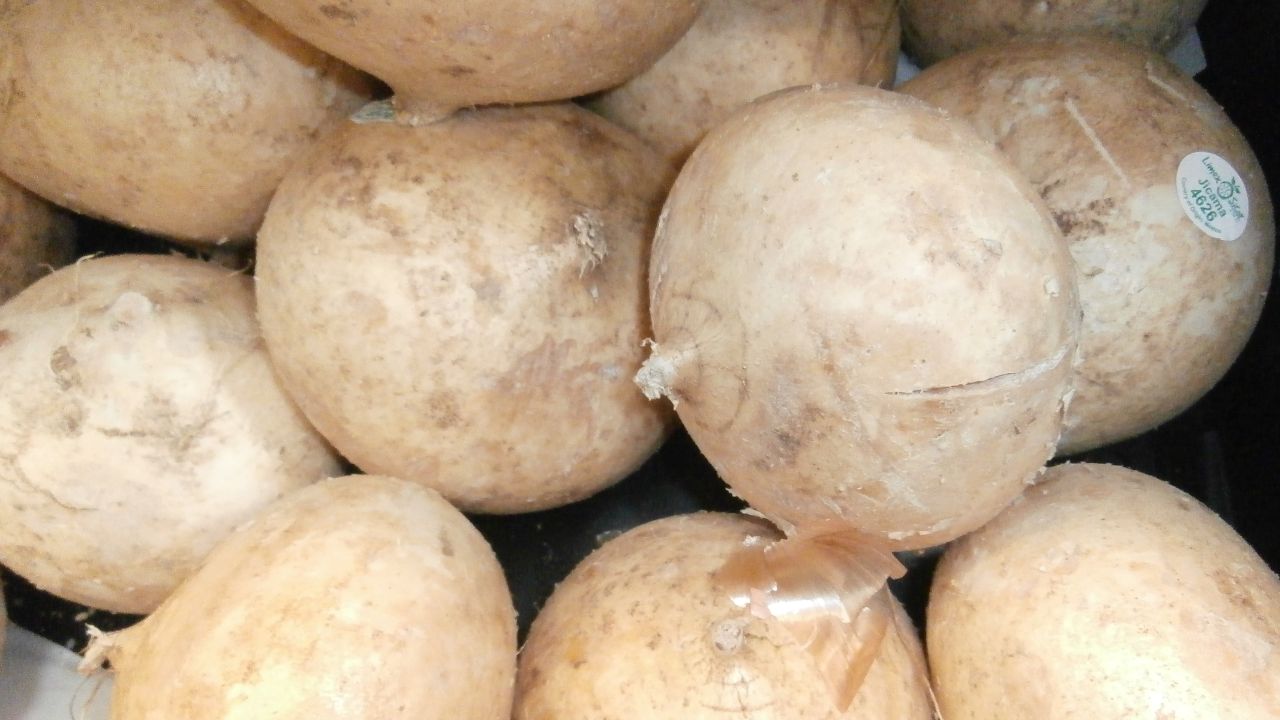 Jicama Vegetable Wiki Commons