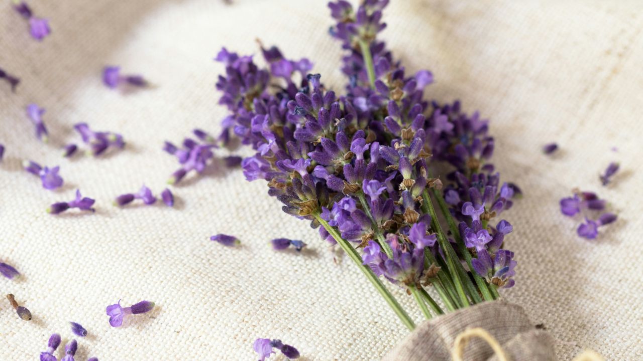 Lavender Oil Acne, Unsplash